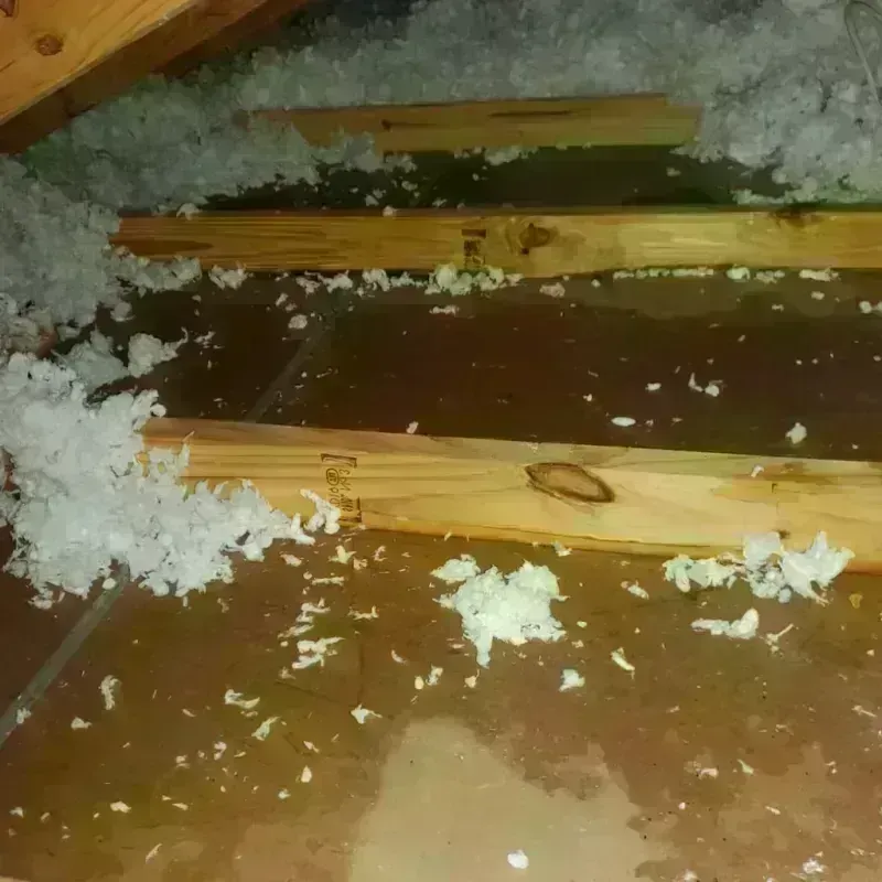 Attic Water Damage in Newburgh, IN